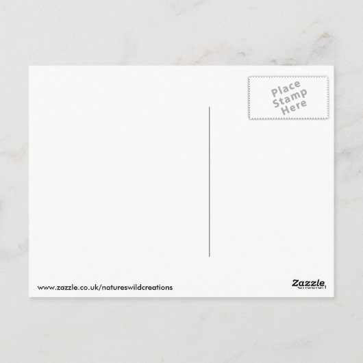 Cheetah Postkarte (Rückseite)