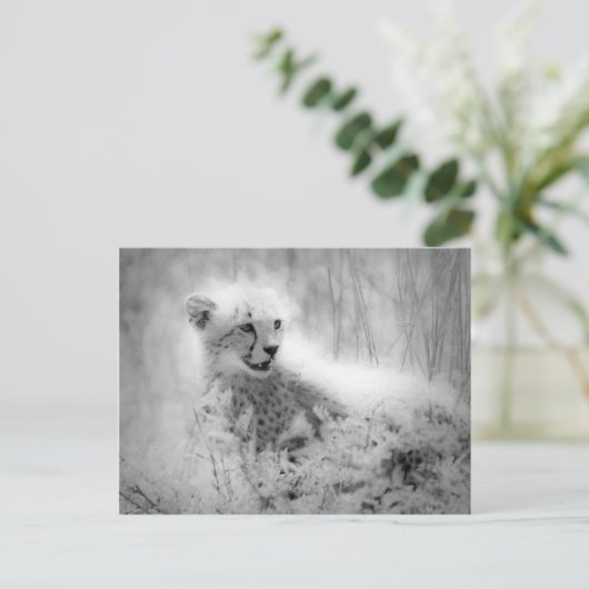 Cheetah Postkarte (Stehend Vorderseite)