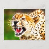 Cheetah Postkarte (Vorderseite)