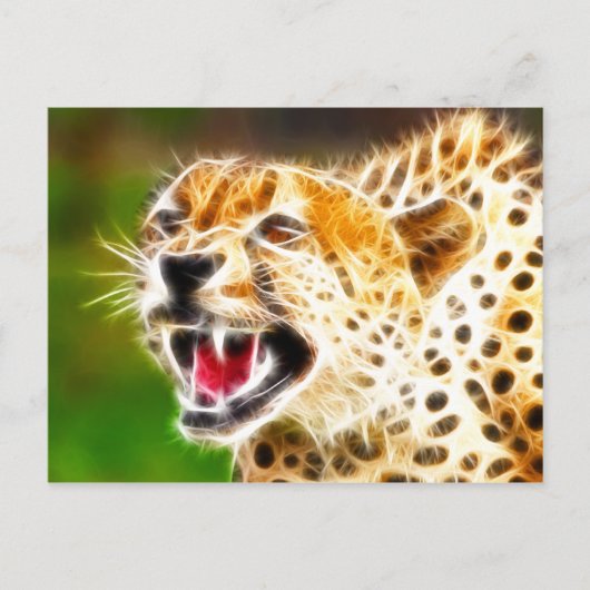Cheetah Postkarte (Vorderseite)
