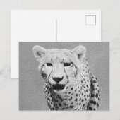 Cheetah Postkarte (Vorne/Hinten)