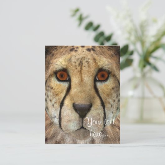 Cheetah Postkarte (Stehend Vorderseite)