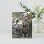 Cheetah Postkarte (Stehend Vorderseite)