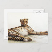Cheetah Postkarte (Vorne/Hinten)