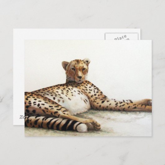 Cheetah Postkarte (Vorne/Hinten)