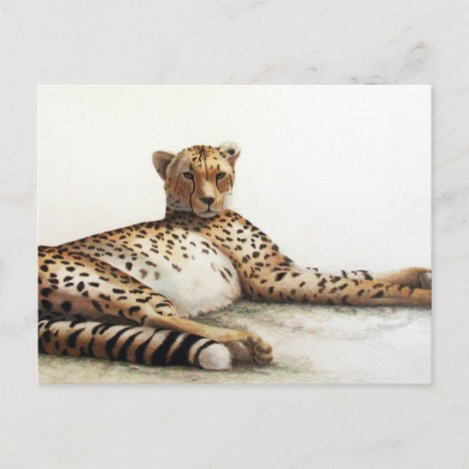 Cheetah Postkarte (Vorderseite)