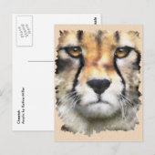 Cheetah Postkarte (Vorne/Hinten)