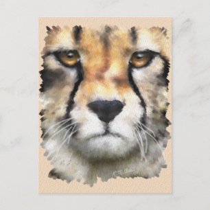 Cheetah Postkarte