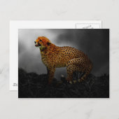 Cheetah Postkarte (Vorne/Hinten)