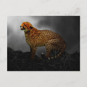 Cheetah Postkarte
