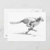 Cheetah Postkarte (Vorne/Hinten)