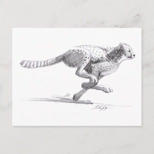Cheetah Postkarte