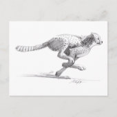 Cheetah Postkarte (Vorderseite)
