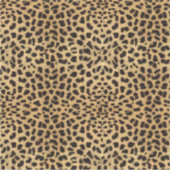 Cheetah Print Aufkleber (Vorderseite)