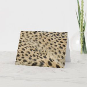 Cheetah Print Karte