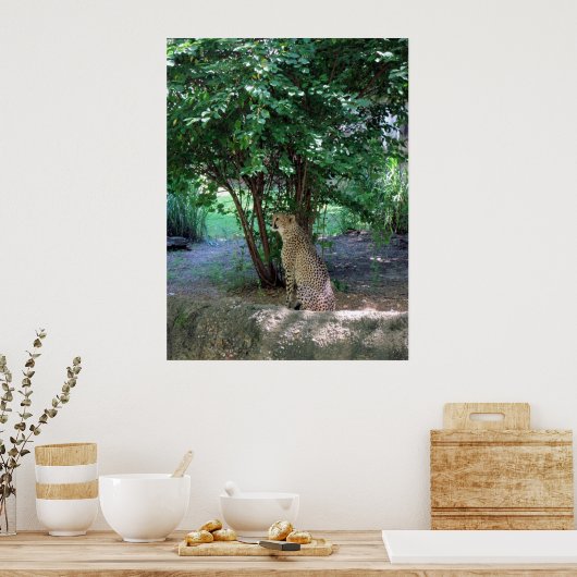 Cheetah Print / Poster (Küche)