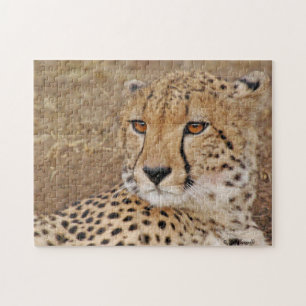 Cheetah puzzle