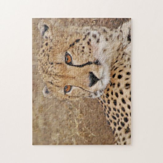 Cheetah  puzzle (Vertikal)