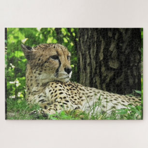 Cheetah Puzzle