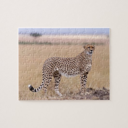 Cheetah Puzzle (Horizontal)