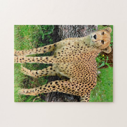 Cheetah Puzzle (Horizontal)