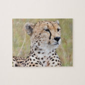 Cheetah Puzzle (Horizontal)