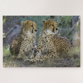 Cheetah Puzzle (Horizontal)