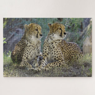 Cheetah Puzzle