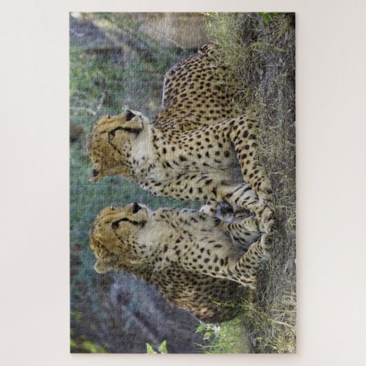 Cheetah Puzzle (Vertikal)
