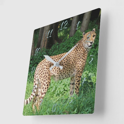 Cheetah Quadratische Wanduhr (Winkel)