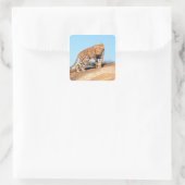 Cheetah Quadratischer Aufkleber (Tasche)