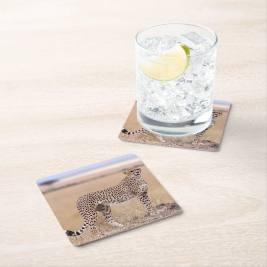 Cheetah Rechteckiger Pappuntersetzer (Vor Ort)