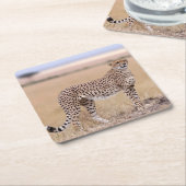 Cheetah Rechteckiger Pappuntersetzer (angewinkelt)