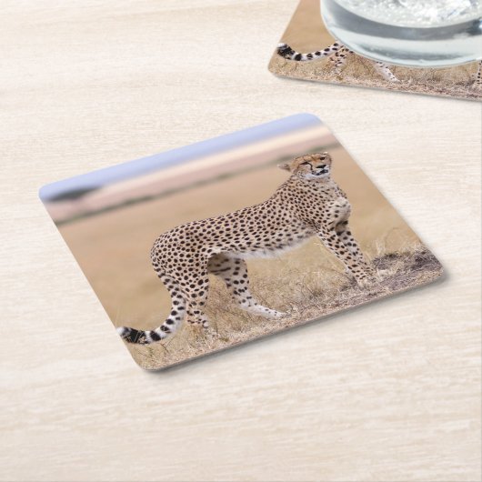 Cheetah Rechteckiger Pappuntersetzer (angewinkelt)