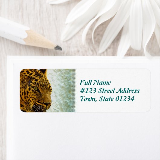 Cheetah Rücksendeadresse (Insitu)