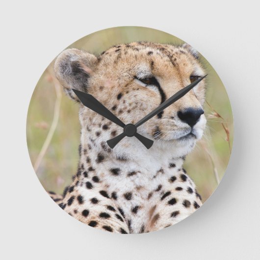 Cheetah Runde Wanduhr (Vorderseite)