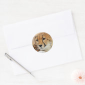 Cheetah Runder Aufkleber (Umschlag)