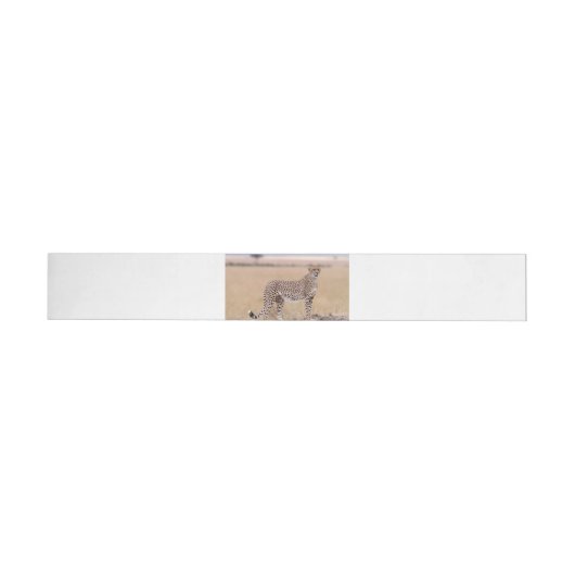 Cheetah Rundum-Adressaufkleber (Person)