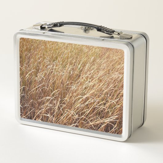 Cheetah Safari Siegel Wildcat Lunchbox (Rückseite)