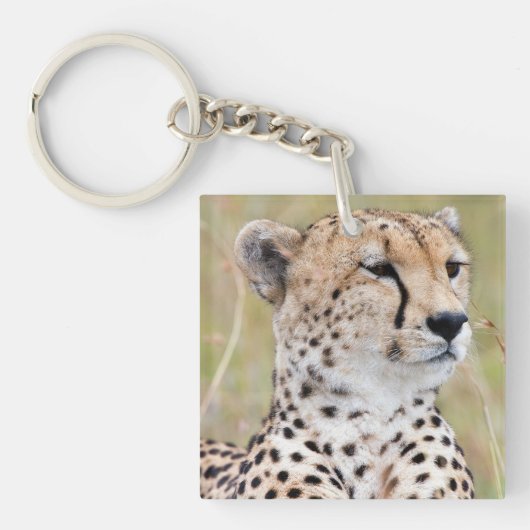 Cheetah Schlüsselanhänger (Vorderseite)