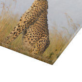 Cheetah Schneidebrett (Ecke)