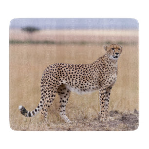 Cheetah Schneidebrett
