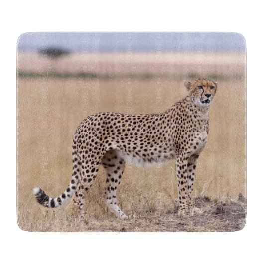 Cheetah Schneidebrett (Vorderseite)