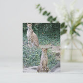 CHEETAH - SEEING DOUBLE POSTKARTE (Stehend Vorderseite)