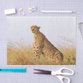 Cheetah Seidenpapier (Handwerk)