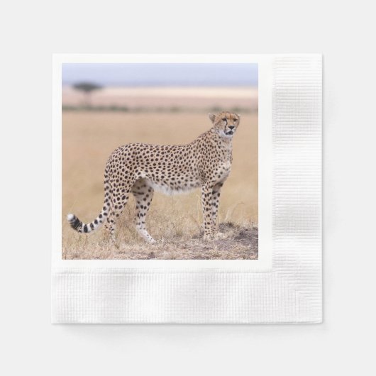 Cheetah Serviette (Vorderseite)
