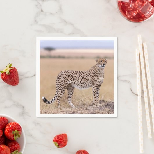 Cheetah Serviette (Beispiel)