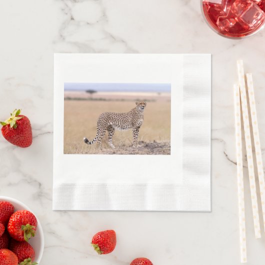 Cheetah Serviette (Beispiel)