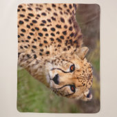 Cheetah Sherpa Blanket Sherpadecke (Vorderseite)