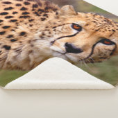Cheetah Sherpa Blanket Sherpadecke (3/4)